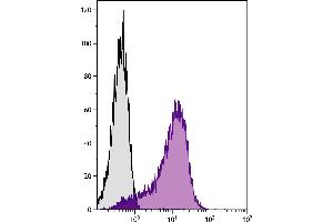 Chicken thymocytes were stained with Mouse Anti-Chicken MCAM-UNLB. (山羊 anti-小鼠 IgG2b Antibody (PE) - Preadsorbed)