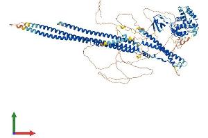 Protein Structure (PS) image for SLIT-ROBO rho GTPase Activating Protein 3 (SRGAP3) (AA 1-1099) protein (His tag) (ABIN7555627)