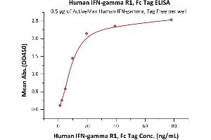 Immobilized Human , Tag Free (ABIN2181249,ABIN2693593) at 5 μg/mL (100 μL/well) can bind Human  R1, Fc Tag (ABIN2181259,ABIN2181258) with a linear range of 1-10 ng/mL (QC tested). (IFNGR1 Protein (AA 18-245) (Fc Tag))