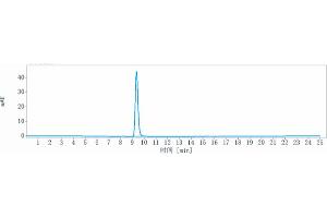 anti-Chemokine (C-C Motif) Ligand 5 (CCL5) antibody