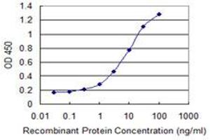 Detection limit for recombinant GST tagged GLYAT is 0. (GLYAT 抗体  (AA 64-163))