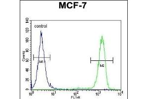 EFHB Antibody (N-term) (ABIN654858 and ABIN2844520) flow cytometric analysis of MCF-7 cells (right histogram) compared to a negative control cell (left histogram). (EFHB 抗体  (N-Term))