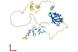 Protein Structure (PS) image for PDZ and LIM Domain 3 (PDLIM3) (AA 1-364) protein (His tag) (ABIN7550689)