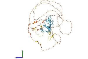 AlphaFold protein structure predicition of Mouse Recombinant Egr4 Protein, UniprotID Q9WUF2