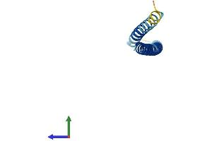 AlphaFold protein structure predicition of Mouse Recombinant Ccdc167 Protein, UniprotID Q9D162