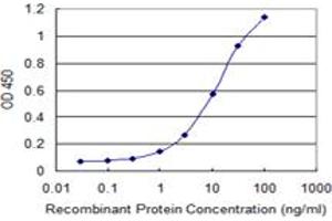 Detection limit for recombinant GST tagged PCDHA7 is 0. (PCDHA7 抗体  (AA 143-241))