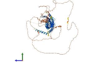 AlphaFold protein structure predicition of Mouse Recombinant Jph3 Protein, UniprotID Q9ET77