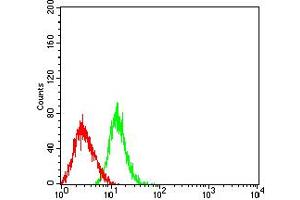 Flow cytometric analysis of HL-60 cells using CD50 mouse mAb (green) and negative control (red). (ICAM-3/CD50 抗体  (AA 30-203))