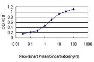 Detection limit for recombinant GST tagged GATA2 is approximately 0. (GATA2 抗体  (AA 1-102))
