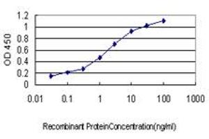 Detection limit for recombinant GST tagged GATA2 is approximately 0. (GATA2 抗体  (AA 1-102))