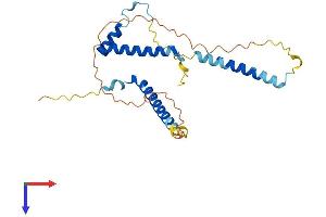 Protein Structure (PS) image for Gem (Nuclear Organelle) Associated Protein 8 (GEMIN8) (AA 1-242) protein (His tag) (ABIN7547894)