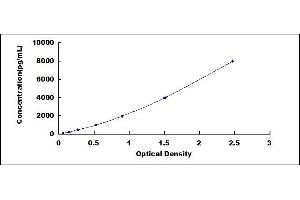 Typical standard curve (AIMP1 ELISA 试剂盒)