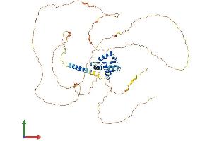 Protein Structure (PS) image for Ets Variant 5 (ETV5) (AA 1-510) protein (His tag) (ABIN7560714)