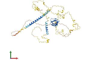 Protein Structure (PS) image for Cortactin (CTTN) (AA 1-550) protein (His tag) (ABIN7555565)