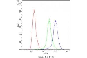 Flow cytometry testing of human THP-1 cells with PPT1 antibody at 1ug/10^6 cells (blocked with goat sera) (PPT1 抗体)