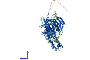 Protein Structure (PS) image for Ectodermal-Neural Cortex 1 (With BTB-Like Domain) (ENC1) (AA 1-589) protein (His tag) (ABIN7547382)