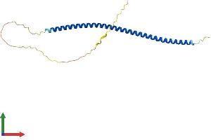 Protein Structure (PS) image for Mast Cell Expressed Membrane Protein 1 (MCEMP1) (AA 1-187) protein (His tag) (ABIN7549344)