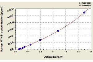 Typical standard curve (MYH11 ELISA 试剂盒)