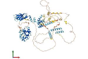 Protein Structure (PS) image for phosphoinositide-3-Kinase Adaptor Protein 1 (PIK3AP1) (AA 1-805) protein (His tag) (ABIN7552558)
