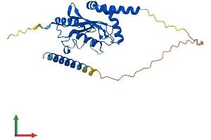 Protein Structure (PS) image for Ubiquitin-Conjugating Enzyme E2, J2 (UBE2J2) (AA 1-259) protein (His tag) (ABIN7544947)