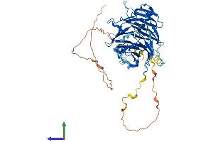 Protein Structure (PS) image for Retinoblastoma Binding Protein 5 (RBBP5) (AA 1-538) protein (His tag) (ABIN7558983)