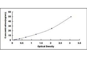 Typical standard curve (Nidogen ELISA 试剂盒)