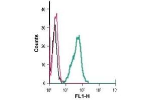 Cell surface detection of GPR84 in live intact mouse BV-2 microglia cells: (black line) Cells. (GPR84 抗体  (Extracellular) (FITC))