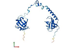 Protein Structure (PS) image for Tubulin Folding Cofactor B (TBCB) (AA 1-244) protein (His tag) (ABIN7560880)
