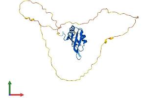 AlphaFold protein structure predicition of Mouse Recombinant Rbm11 Protein, UniprotID Q80YT9 (RBM11 Protein (AA 1-238) (His tag))