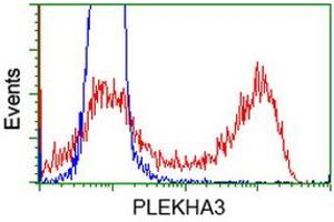 HEK293T cells transfected with either RC208433 overexpress plasmid (Red) or empty vector control plasmid (Blue) were immunostained by anti-PLEKHA3 antibody (ABIN2454555), and then analyzed by flow cytometry. (PLEKHA3 抗体)
