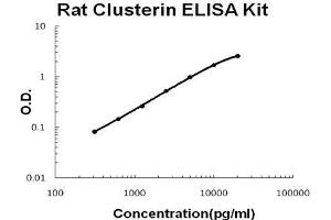 Rat Clusterin PicoKine ELISA Kit standard curve (Clusterin ELISA 试剂盒)
