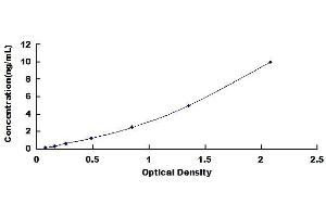 Canopy 2 Homolog (CNPY2) ELISA Kit