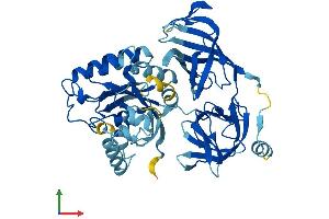 Protein Structure (PS) image for Eukaryotic Translation Elongation Factor 1 alpha 1 (EEF1A1) (AA 1-462) protein (His tag) (ABIN7562822)
