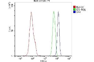 anti-Nucleoprotein TPR (TPR) antibody