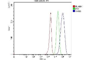 Flow Cytometry analysis of 293T cells using anti-TRIM3 antibody (ABIN7602441). (TRIM3 抗体  (AA 77-433))