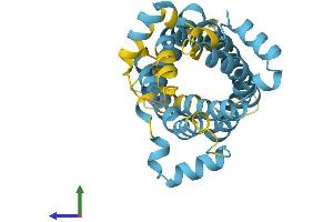 AlphaFold protein structure predicition of Human Recombinant SLC25A10 Protein, UniprotID Q9UBX3 (SLC25A10 Protein (AA 1-287) (His tag))