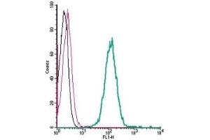 Cell surface detection of GPR183 by indirect flow cytometry in live intact human THP-1 monocytic leukemia cells: (black line) Cells. (GPR183 抗体  (Extracellular))