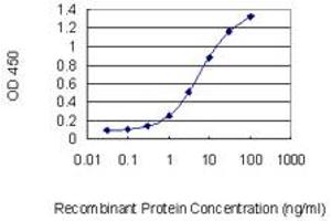 Detection limit for recombinant GST tagged RFX5 is 0. (RFX5 抗体  (AA 516-616))
