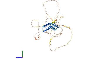 AlphaFold protein structure predicition of Human Recombinant CIART Protein, UniprotID Q8N365 (CIART (AA 1-385) protein (His tag))