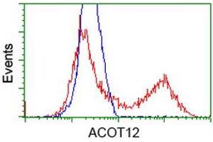 Flow Cytometry (FACS) image for anti-Acyl-CoA Thioesterase 12 (ACOT12) antibody (ABIN1496417) (ACOT12 抗体)