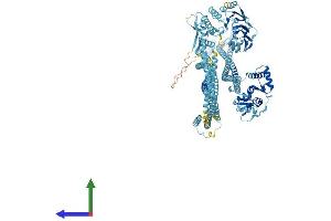 Protein Structure (PS) image for Structural Maintenance of Chromosomes 3 (SMC3) (AA 1-1217) protein (His tag) (ABIN7555554)