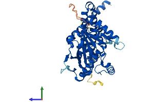 Protein Structure (PS) image for Lysophosphatidylglycerol Acyltransferase 1 (LPGAT1) (AA 1-370) protein (His tag) (ABIN7560124)