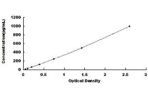 CD40 Ligand ELISA 试剂盒