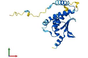 Protein Structure (PS) image for Trafficking Protein Particle Complex 5 (TRAPPC5) (AA 1-188) protein (His tag) (ABIN7560523)