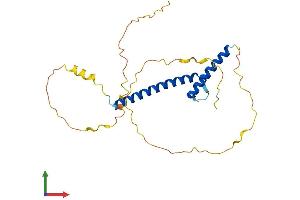 AlphaFold protein structure predicition of Human Recombinant NEUROG1 Protein, UniprotID Q92886