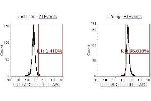 Flow Cytometry (FACS) image for anti-Fumarate Hydratase (FH) (AA 44-510) antibody (APC) (ABIN5568704) (FH 抗体  (AA 44-510) (APC))