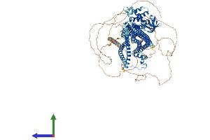 Protein Structure (PS) image for SLIT-ROBO rho GTPase Activating Protein 3 (SRGAP3) (AA 1-1099) protein (His tag) (ABIN7555627)