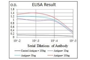 ELISA image for anti-Hexosaminidase A (HEXA) antibody (ABIN1105521) (Hexosaminidase A 抗体)