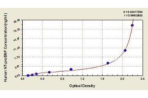 ELISA image for Pro-Brain Natriuretic Peptide (NT-ProBNP) (NT-ProBNP) ELISA Kit (ABIN368630)