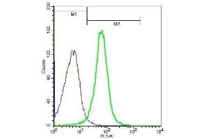 Flow Cytometry (FACS) image for anti-BMP and Activin Membrane-Bound Inhibitor Homolog (BAMBI) (AA 101-200) antibody (ABIN1714490)